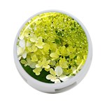 Elegant Chartreuse Green Limelight Hydrangea Macro 4-Port USB Hub (Two Sides) Front