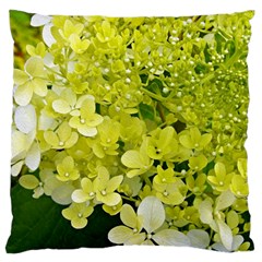 Elegant Chartreuse Green Limelight Hydrangea Macro Standard Flano Cushion Case (one Side) by myrubiogarden