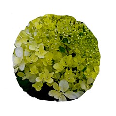 Elegant Chartreuse Green Limelight Hydrangea Macro Standard 15  Premium Flano Round Cushions by myrubiogarden