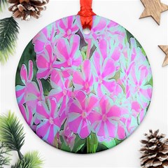 Hot Pink And White Peppermint Twist Garden Phlox Round Ornament (two Sides) by myrubiogarden