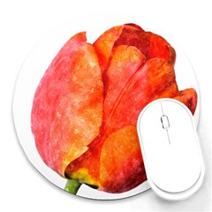 Red Tulip, Watercolor Art Round Mousepads by picsaspassion