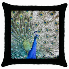 Peacock Bird Colorful Plumage Throw Pillow Case (black) by Wegoenart