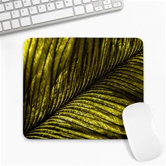 Feather Macro Bird Plumage Nature Large Mousepads by Wegoenart