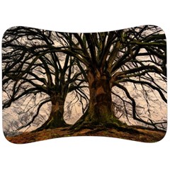 Ent Treant Trees Tree Bark Barks Velour Seat Head Rest Cushion by Pakrebo