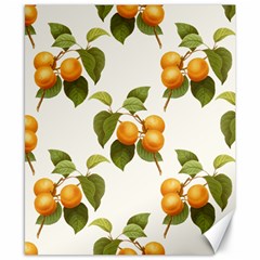 Apricot Fruit Vintage Art Canvas 8  X 10  by Pakrebo