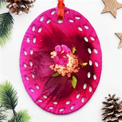 Deep Pink And Crimson Hibiscus Flower Macro Oval Filigree Ornament (two Sides) by myrubiogarden