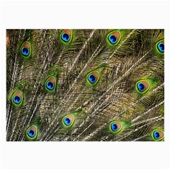 Green Peacock Feathers Color Plumage Large Glasses Cloth by Pakrebo