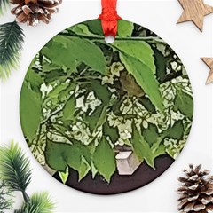 Garden Of The Phoenix  Ornament (round) by Riverwoman
