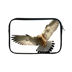 Eagle Apple Ipad Mini Zipper Cases by Sudhe