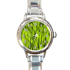 Agricultural Field   Round Italian Charm Watch by rsooll