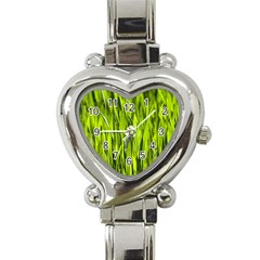 Agricultural Field   Heart Italian Charm Watch by rsooll