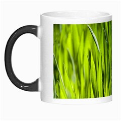 Agricultural Field   Morph Mugs by rsooll