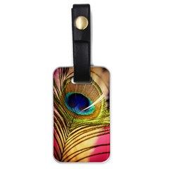 Peacock Feather Colorful Peacock Luggage Tags (one Side)  by Pakrebo