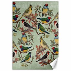 Vintage Birds Canvas 24  X 36  by Valentinaart