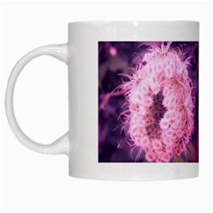 Closing Queen Annes Lace Collage (vertical) White Mugs by okhismakingart