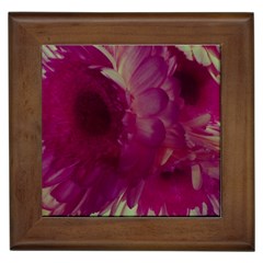 Pink Highlighted Flowers Framed Tiles by okhismakingart