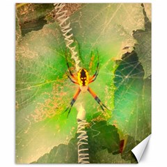 Orb Spider Canvas 20  X 24  by okhismakingart