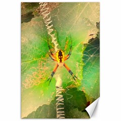 Orb Spider Canvas 20  X 30  by okhismakingart