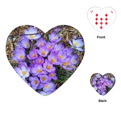 Signs Of Spring Purple Crocua Playing Cards (heart) by Riverwoman