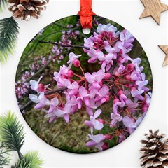 Redbud In April Ornament (round) by Riverwoman