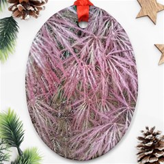 Fineleaf Japanese Maple In April Ornament (oval) by Riverwoman