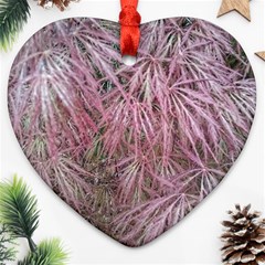 Fineleaf Japanese Maple In April Ornament (heart) by Riverwoman