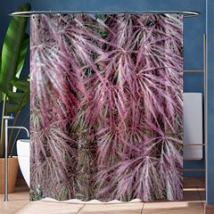 Fineleaf Japanese Maple In April Shower Curtain 60  X 72  (medium)  by Riverwoman