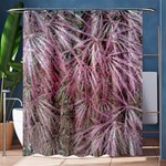 Fineleaf Japanese Maple in April Shower Curtain 60  x 72  (Medium)  60 x72  Curtain