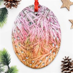 Fineleaf Japanese Maple Highlights Oval Filigree Ornament (two Sides) by Riverwoman