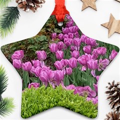 Late April Purple Tulip Ornament (star) by Riverwoman