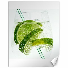 Lime Club Soda Drink Cocktail Canvas 12  X 16  by Pakrebo