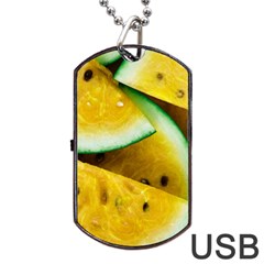 Sliced Watermelon Lot Dog Tag Usb Flash (one Side) by Pakrebo