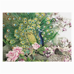 Peafowl Peacock Feather Beautiful Large Glasses Cloth by Sudhe