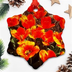 Orange Tulips At The Commons Ornament (snowflake) by Riverwoman