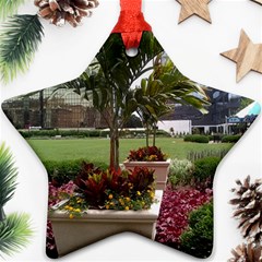 Columbus Commons In Late May  Star Ornament (two Sides) by Riverwoman