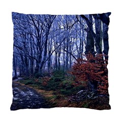 Forest Beeches Way Winter Snow Standard Cushion Case (two Sides) by Wegoenart