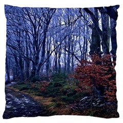 Forest Beeches Way Winter Snow Large Flano Cushion Case (one Side) by Wegoenart