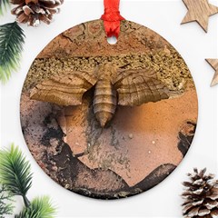 Night Moth Ornament (round) by Riverwoman