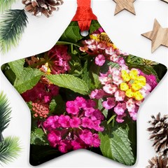 Summer Lantana W Bee Ornament (star) by Riverwoman