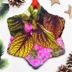 Coleus & Petunia Ornament (snowflake) by Riverwoman