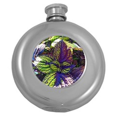 Dark Coleus Round Hip Flask (5 Oz) by Riverwoman