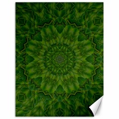 Fauna Nature Ornate Leaf Canvas 12  X 16  by pepitasart