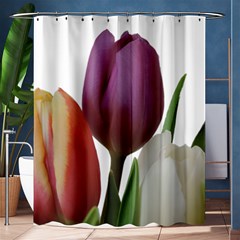 Tulips Spring Bouquet Shower Curtain 60  X 72  (medium)  by picsaspassion