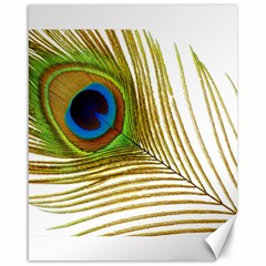 Peacock Feather Plumage Colorful Canvas 16  X 20  by Sapixe