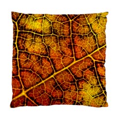 Autumn Leaves Forest Fall Color Standard Cushion Case (one Side) by Wegoenart