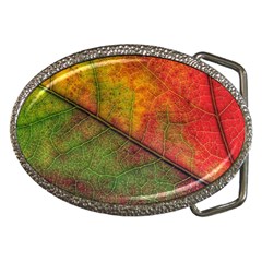 Fall Foliage Color Leaf Veins Belt Buckles by Wegoenart