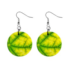 Photosynthesis Leaf Green Structure Mini Button Earrings by Wegoenart