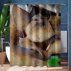 Close Up Mushroom Abstract Shower Curtain 60  X 72  (medium)  by Fractalsandkaleidoscopes