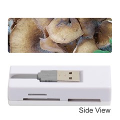 Close Up Mushroom Abstract Memory Card Reader (stick) by Fractalsandkaleidoscopes