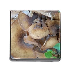 Close Up Mushroom Abstract Memory Card Reader (square 5 Slot) by Fractalsandkaleidoscopes